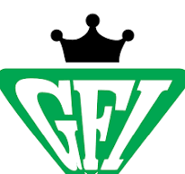 GFI Logo