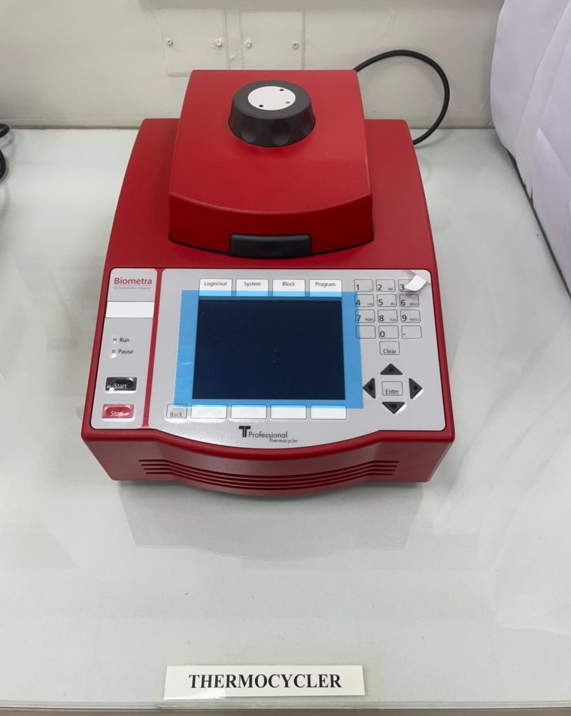 Thermocycler (PCR)